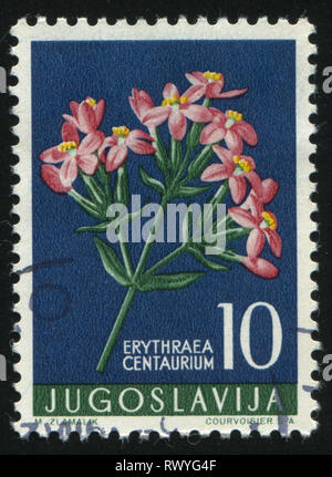 RUSSIA KALININGRAD, 12 NOVEMBER 2016: stamp printed by Yugoslavia, shows Centaury, circa 1956 Stock Photo