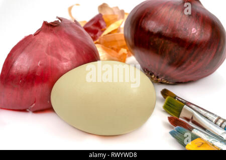 Egg fresh whole red onion and dried onion skin isolated on white. Easter eggs dyed with onion skins conceptual image Stock Photo