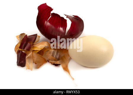 Egg and dried onion skin isolated on white. Easter eggs dyed with onion skins conceptual image Stock Photo