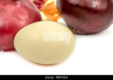 Fresh whole red onion, egg and dried onion skin isolated on white. Making Easter eggs dyed with onion skins concept Stock Photo