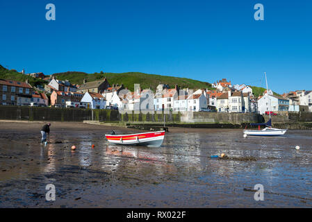 Staithes harbour on the coast of North Yorkshire, England. A sunny spring morning in this picturesque fishing village. Man digging for lugworms. Stock Photo