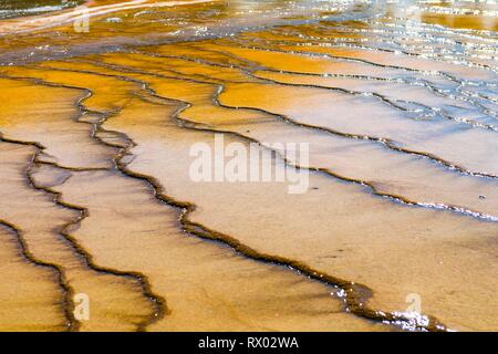 Wave structure, colored mineral deposits at the edge of the hot spring, detail view, Grand Prismatic Spring, Midway Geyser Basin Stock Photo