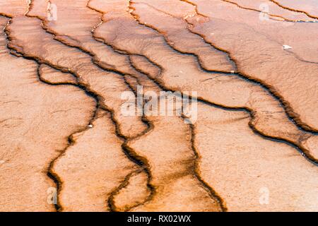 Wave structure, colored mineral deposits at the edge of the hot spring, detail view, Grand Prismatic Spring, Midway Geyser Basin Stock Photo