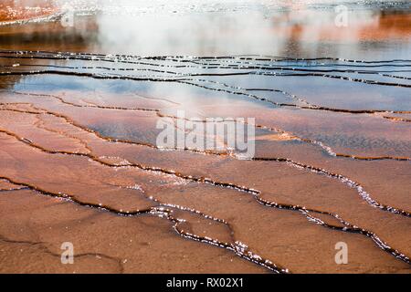 Wave structure, colored mineral deposits at the edge of the hot spring, detail view, Grand Prismatic Spring, Midway Geyser Basin Stock Photo