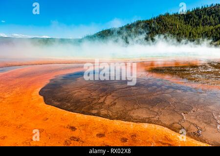 Colored mineral deposits at the edge of the steaming hot spring, detail view, Grand Prismatic Spring, Midway Geyser Basin Stock Photo