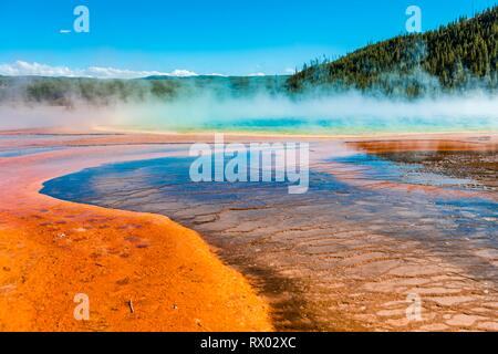 Colored mineral deposits at the edge of the steaming hot spring, detail view, Grand Prismatic Spring, Midway Geyser Basin Stock Photo