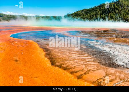 Colored mineral deposits at the edge of the steaming hot spring, detail view, Grand Prismatic Spring, Midway Geyser Basin Stock Photo