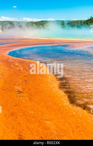 Colored mineral deposits at the edge of the steaming hot spring, detail view, Grand Prismatic Spring, Midway Geyser Basin Stock Photo