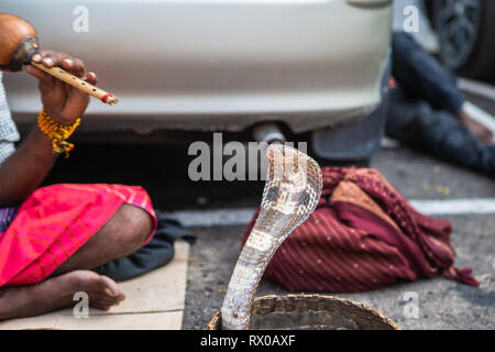 Colombo, Sri Lanka - December 18, 2018: Snake charmer on streets of Colombo, Sri Lanka. Stock Photo