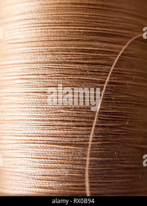close up of sewing cotton brown home repair macro texture; essex; england; uk Stock Photo