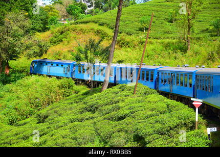 Sri Lankan Blue Train ride heading through hill country and tea plantations from Colombo to Kandy, Nuwara Eliya, Ella, Badulla, Sri Lanka Stock Photo