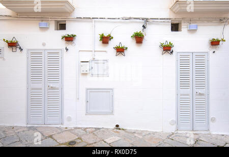 Front view of a wooden white door on white wall. Beautiful red pots with flowers. Exterior of a house in Monopoli, Puglia, Italy. Region of Apulia Stock Photo