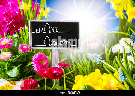 Sunny Spring Flower, Calligraphy Frohe Ostern Means Happy Easter Stock Photo