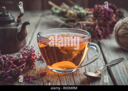 Cup of healthy echinacea tea, dry coneflower herbs and vintage teapot on wooden table. Stock Photo