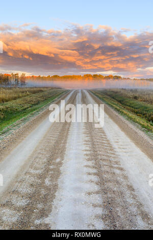Dirt road at sunrise, Western Manitoba, Canada Stock Photo