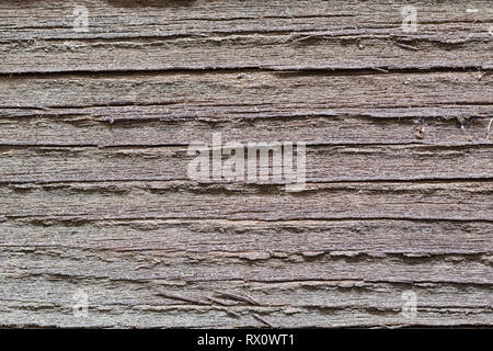 heavily weathered gray wood close up background texture Stock Photo