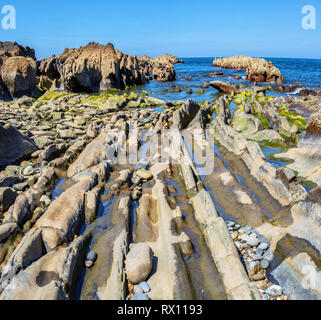 Zumaia geology special coast, the famous Flysch Coast in Northern Spain Stock Photo