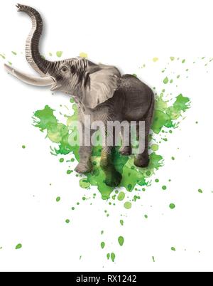 Vector colored illustration of a standing African elephant with watercolor splashes in the background Stock Vector