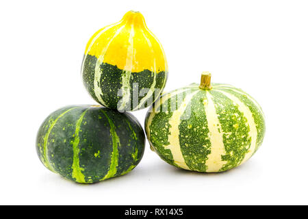 Mini colorful pumpkins  isolated on white Stock Photo