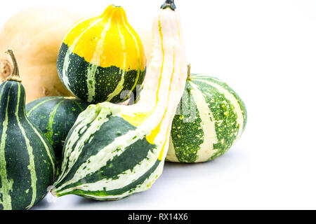 Mini colorful pumpkins  isolated on white Stock Photo