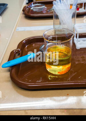 Molecular gastronomy dessert, orange pearls food, cuisine Stock Photo