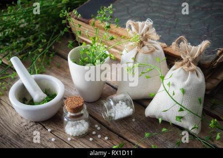 Bunch of shepherds purse, bottle of homeopathic globules, mortar of bursa pastoris medicinal herbs and old book. Homeopathy medicine. Stock Photo