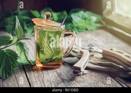 Healthy nettle tea or infusion, nettle plants, gloves and garden pruner on wooden table in a retro village house. Stock Photo