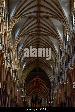 The ceiling of Lincoln Cathedral  Stock Photo