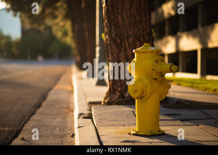 A yellow Hydrant next to the side of a road during sunset in LA, America Stock Photo