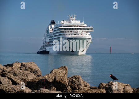 Picture by Tim Cuff - 25 January 2019 - Arrival of cruise ship Seabourn Encore into Port Nelson, New Zealand Stock Photo