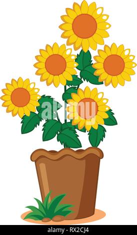 Sunflower plant in the pot illustration Stock Vector