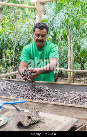 German showing the dried beans on his table. Stock Photo