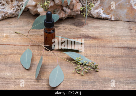 Eucalyptus Essential oil in Amber Round Glass Bottle with Glass Dropper and Fresh Eucalyptus leaves on wooden background. Phytotherapy. Stock Photo