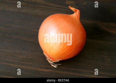 One onion isolated on dark brown wooden table Stock Photo