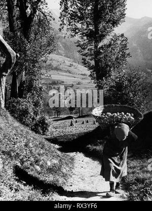 mountains, carnia, friuli, italy 1956 Stock Photo