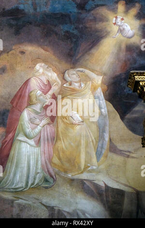Annunciation to the Magi, fresco by Taddeo Gaddi (1295-1366), Baroncelli Chapel in the Basilica di Santa Croce in Florence Stock Photo