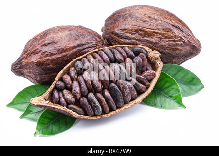 Cocoa pods and cocoa beans - chocolate basis isolated on a white background. Stock Photo