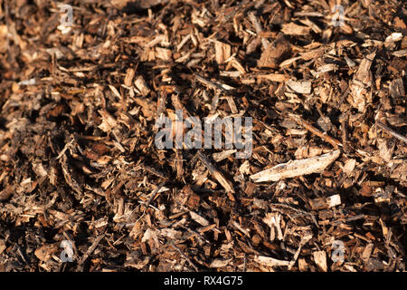 Natural bark mulch background texture Stock Photo