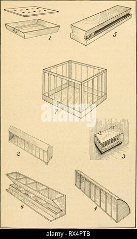The Egg Question Solved 1 Milk Pan For Young Chicks 2 Feed