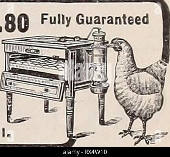 The Eastern poultryman (1904) The Eastern poultryman easternpoultryma54unse Year: 1904  Healthy Fowls,MoreF^ls^r Produced by Cyphers Clover Products, cut and milled by us wit h special machinery. Only highest grade se lected second crop clover used. Quality guaranteed. Be sure the lean seal on bag is unbroken, liet genuine Cyphers. Comparison requested. Cyphers Short Cut Screened HayâBlossoms, leaves and stems cut to short lengths ami screene 1. No waste, 50 lb. hag$l, 100 11). hag J1.7.r) Cyphers Shredded CloverâContains all parts ol clover fine! Unequaled for laying and breeding stock. 60 lb Stock Photo