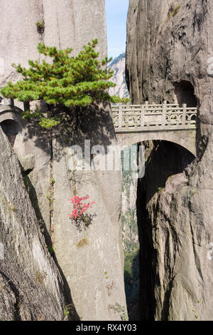 Fairy Bridge on Mt Huangshan, Yellow Mountain . Located in Anhui province, Huangshan is one of the most famous mountains of China, and has inspired hu Stock Photo