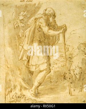 Old Shepherd Leaning on a Staff. Francesco Mazzola, called Parmigianino; Italian, 1503-1540. Date: 1524-1532. Dimensions: 141 x 118 mm. Pen and brown ink with brush and brown wash, over black chalk, on paper. Origin: Italy. Museum: The Chicago Art Institute. Stock Photo