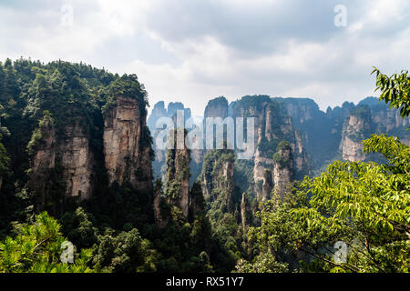 The panorama of the so called black forest in Yuanjiajie area in the Wulingyuan National Park, Zhangjiajie, Hunan, China. Wulingyuan National park was Stock Photo