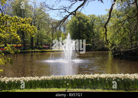 Amazing spring time in Keukenhof flower garden. Water fountain in middle of lake in sunny day. Row of beautiful daffodils. Netherlands, Holland Stock Photo