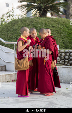 Group of young Buddhist monks in Kathmandu Stock Photo
