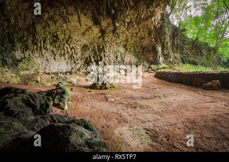 The remains of Homo Floresiensis, an extinct species in the genus Homo, were discovered in 2003 at Liang Bua on the island of Flores in Indonesia. Stock Photo