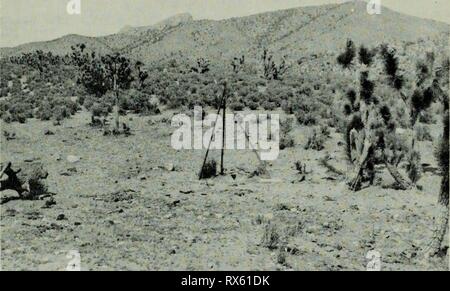 The effects of water development The effects of water development upon populations of Gambel's Quail in southwestern Utah effectsofwaterde655nish Year: 1964  20   $# m *&;. J'' Figure 9« View of a quail fountain with tripod fence. Stock Photo