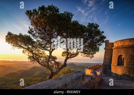 San Salvador Mallorca at sunrise. Lone tree near monument. Cycling destination at the top of hill