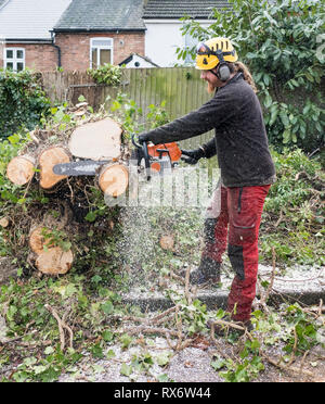 Man using a chainsaw to cut fallen tree limbs and branches after a ...