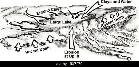 Ecuador, Perú  Cuyabeno-Güeppí (2008) Ecuador, Perú : Cuyabeno-Güeppí ecuadorpercuyab202008alve Year: 2008  Fig. 31. Hypothesized formation processes of the Lagartococha blackwater lake complex. Geological uplift formed a natural dam, behind which clays eroded from headwater regions were deposited. Through time, the natural dam eroded, allowing the lake and its recently eroded clays to drain downriver, eventually redepositing to form the Lagartococha lake complex. Natural River Damming Accumulation of   Present-day Blackwater Lake Complex A Drained Lake Stock Photo